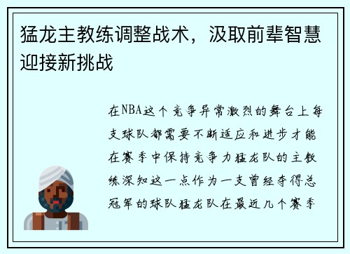 猛龙主教练调整战术，汲取前辈智慧迎接新挑战