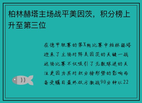 柏林赫塔主场战平美因茨，积分榜上升至第三位