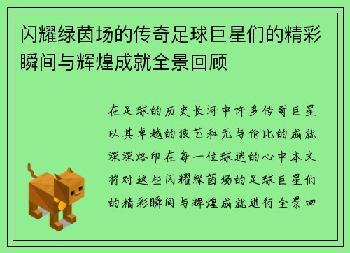 闪耀绿茵场的传奇足球巨星们的精彩瞬间与辉煌成就全景回顾